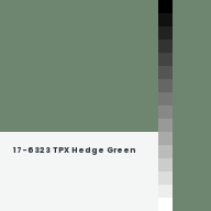 Color chip: 17-6323 TPX Hedge Green