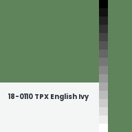Color chip: 18-0110 TPX English Ivy