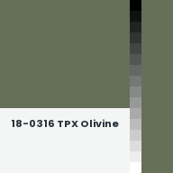 Color chip: 18-0316 TPX Olivine