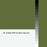 Color chip: 18-0328 TPX Cedar Green
