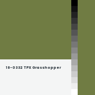 Color chip: 18-0332 TPX Grasshopper