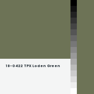 Color chip: 18-0422 TPX Loden Green