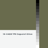 Color chip: 18-0426 TPX Capulet Olive