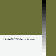 Color chip: 18-0435 TPX Calla Green