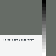 Color chip: 18-0510 TPX Castor Gray