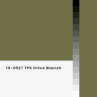 Color chip: 18-0527 TPX Olive Branch