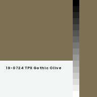 Color chip: 18-0724 TPX Gothic Olive
