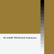 Color chip: 18-0835 TPX Dried Tobacco
