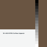 Color chip: 18-0930 TPX Coffee Liqueúr