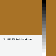 Color chip: 18-0935 TPX Buckthorn Brown