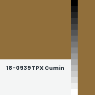 Color chip: 18-0939 TPX Cumin