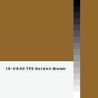 Color chip: 18-0940 TPX Golden Brown