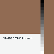 Color chip: 18-1030 TPX Thrush
