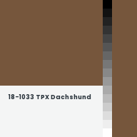 Color chip: 18-1033 TPX Dachshund