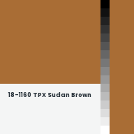 Color chip: 18-1160 TPX Sudan Brown
