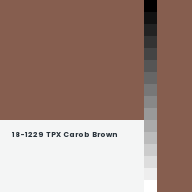 Color chip: 18-1229 TPX Carob Brown
