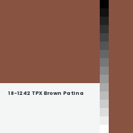 Color chip: 18-1242 TPX Brown Patina