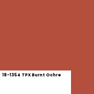 Color chip: 18-1354 TPX Burnt Ochre