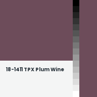 Color chip: 18-1411 TPX Plum Wine