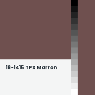 Color chip: 18-1415 TPX Marron