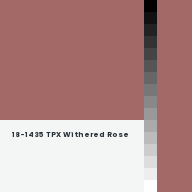 Color chip: 18-1435 TPX Withered Rose