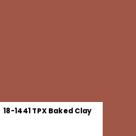 Color chip: 18-1441 TPX Baked Clay