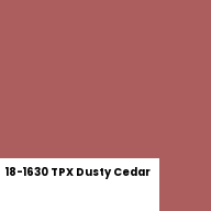 Color chip: 18-1630 TPX Dusty Cedar