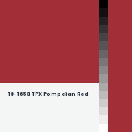 Color chip: 18-1658 TPX Pompeian Red