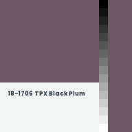 Color chip: 18-1706 TPX Black Plum