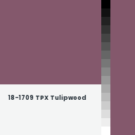 Color chip: 18-1709 TPX Tulipwood