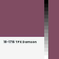 Color chip: 18-1716 TPX Damson