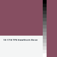 Color chip: 18-1718 TPX Hawthorn Rose