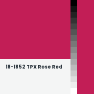 Color chip: 18-1852 TPX Rose Red