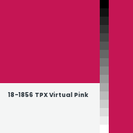 Color chip: 18-1856 TPX Virtual Pink