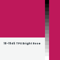 Color chip: 18-1945 TPX Bright Rose