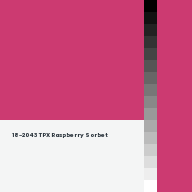 Color chip: 18-2043 TPX Raspberry Sorbet