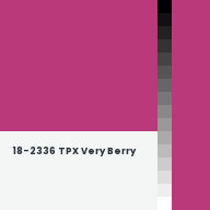 Color chip: 18-2336 TPX Very Berry