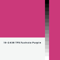 Color chip: 18-2436 TPX Fuchsia Purple