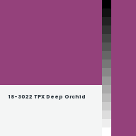 Color chip: 18-3022 TPX Deep Orchid