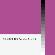 Color chip: 18-3027 TPX Purple Orchid