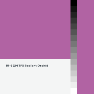 Color chip: 18-3224 TPX Radiant Orchid