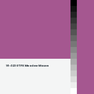 Color chip: 18-3230 TPX Meadow Mauve