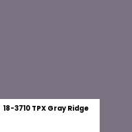 Color chip: 18-3710 TPX Gray Ridge