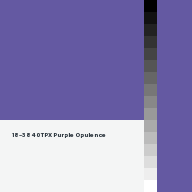 Color chip: 18-3840 TPX Purple Opulence