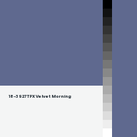 Color chip: 18-3927 TPX Velvet Morning