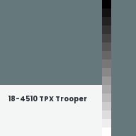 Color chip: 18-4510 TPX Trooper