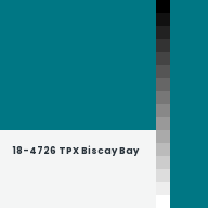 Color chip: 18-4726 TPX Biscay Bay