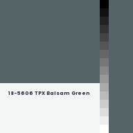 Color chip: 18-5606 TPX Balsam Green