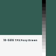 Color chip: 18-5616 TPX Posy Green