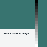 Color chip: 18-5618 TPX Deep Jungle
